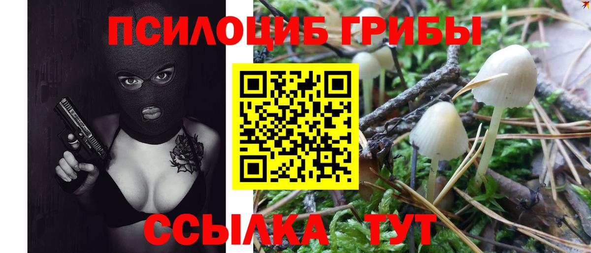 как найти наркотики  Галлюциногенные грибы Psilocybine cubensis  Вход с VPN  Галлюциногенные грибы Magic Shrooms  Сокол 