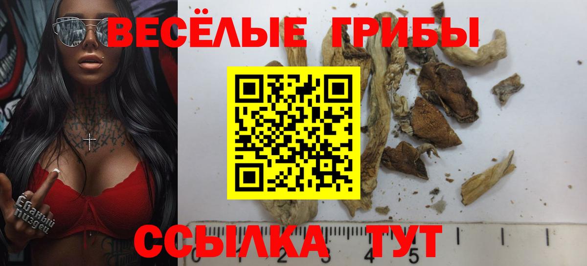 Галлюциногенные грибы GOLDEN TEACHER Сокол